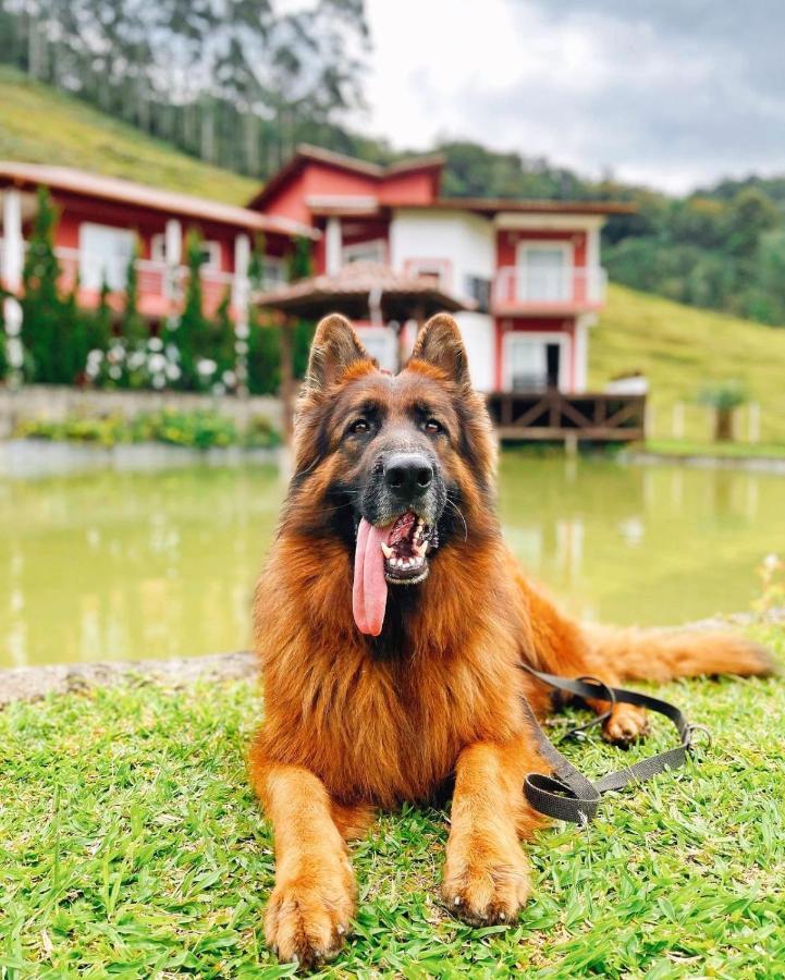 Ampla Casa De Campo - Afaven Aguas Mornas Esterno foto